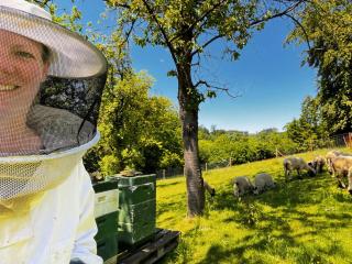 Conzen Hof am Hennesee - 6