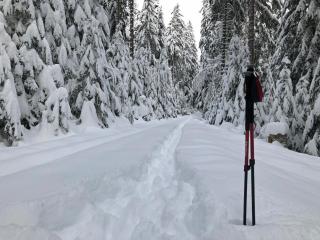 Lippenhof - Unter der Linde - 7