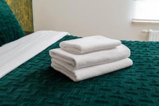 Ursus Luna Apartment by BookingHost - 1