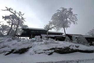 The Flying Eagle at Eagles Nest - 8