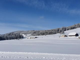 Ferienwohnung Harmonie - 9