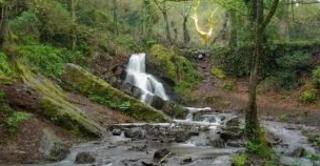 Ker Cado - Chambre d'hôtes - 6