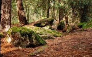 Ker Cado - Chambre d'hôtes - 5