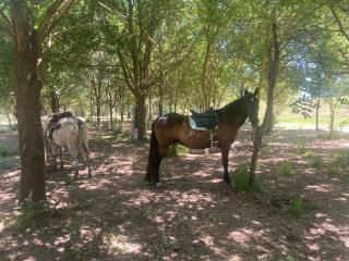 Agriturismo La Concia - 6