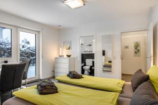 Schwarzwaldblick K App 4 mit Pool - 6