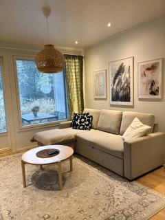 Modern townhouse apartment with sauna - 2