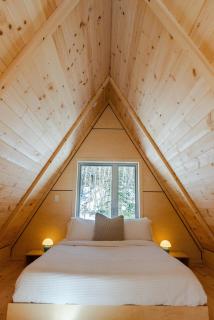 Canadian Classic - Spa - Sauna - Fire - Forest - 5