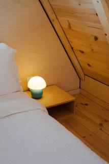 Canadian Classic - Spa - Sauna - Fire - Forest - 8