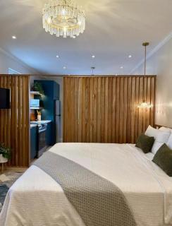 Modern 1 BR Boutique Apt Savannah - 4