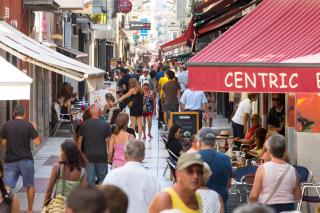 Your Pet-friendly Home In Sant Pol - 4