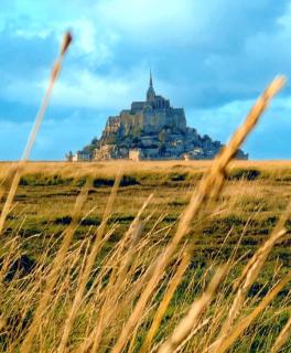 Maison 70m2, 20min du Mont-St-Michel wifi - 8