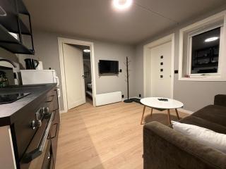 Sandefjord 1 bedroom kitchen and bathroom - Non smoking - 9
