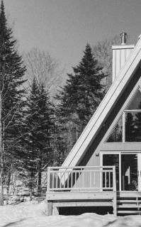 Canadian Classic - Spa - Sauna - Fire - Forest - 1