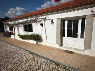 Orange Blossom Grove - 0