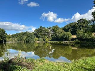 Beautiful 2-Bedroom Gîte in Montenay - 3