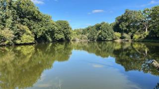 Beautiful 2-Bedroom Gîte in Montenay - 2