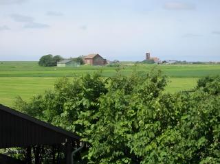 Ferienhaus Tammwarfthuus - 8