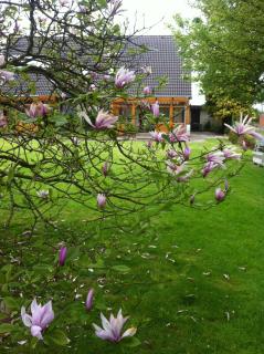 Ferienwohnungen Kastenmüller - 6