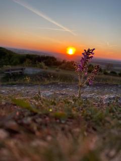 Hesselberg-Oase Ferienhof Hüttner - 8