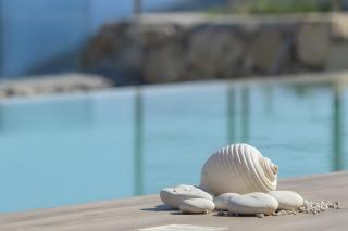 Modern Country Villa - 7