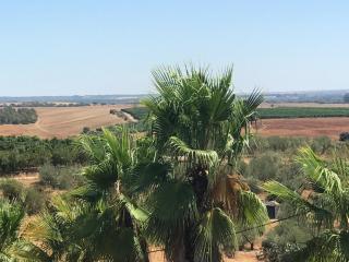 HACIENDA LA MACARENA DE SEVILLA - 6