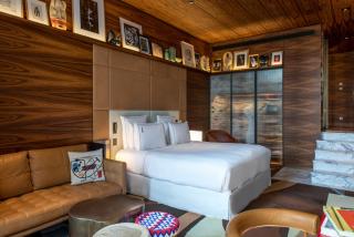 Brach Paris - Evok Collection - 2