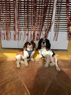 Lidia Rural House - 2