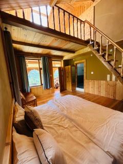 Himalayan Baseraa - 1