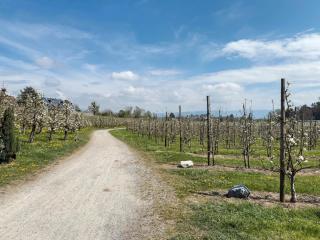 Hotel Garni Vitamari - 4