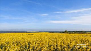 Ferienwohnung Naturblick - 9