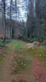 Ferienwohnung Naturblick - 8