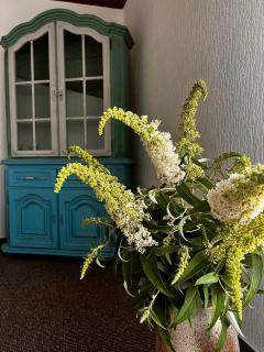 Wohnung Natascha - 9