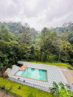 Munnar Premium Pool Villa - 4
