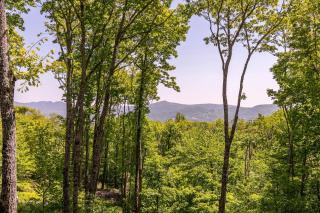 Eagles Landing at Eagles Nest - 2