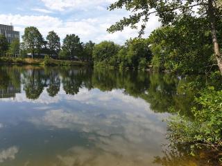 Ferienwohnungen Karle - 2