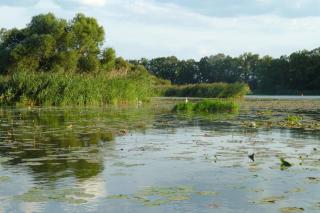 Ferienwohnung Havelnixe - Bahnitz - 6
