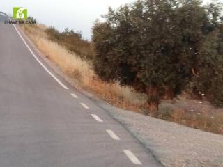 Casa das Bonecas - 9