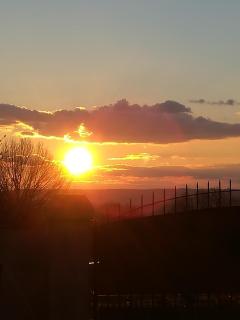 Domaine d'Aurel Le Tillou - La Bichonnière - Le Pigeonnier - La Prairie - 1