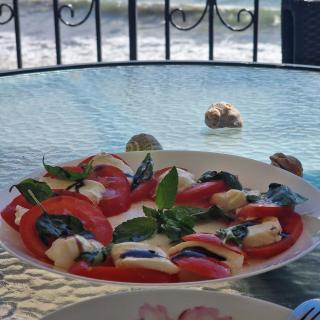 Charming Studio at the Seaside with Pool - Joy Tea see the See - 9