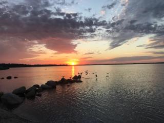 Ferienwohnung an der Schlei oben - 7