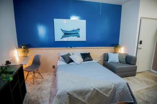 Lapizlázuli Studio 5 - 5