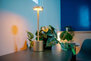 Lapizlázuli Studio 5 - 4