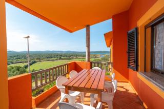 Conchiglia Verde - 9