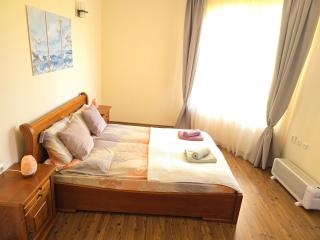 Bansko Boutique Apartments - Flora Boutique - 9