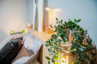 Lapizlázuli Studio 4 - 2