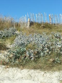 Maison Ty Mel à 3 km des plages - 8