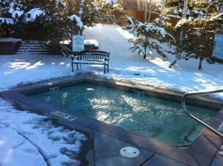 Dont miss the Main level Cozy Winter Retreat - 7