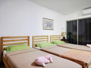 Maya Suite - 2
