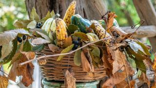 L'aia di San Giorgio - 8