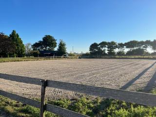 Ferienhof Reimers - 8